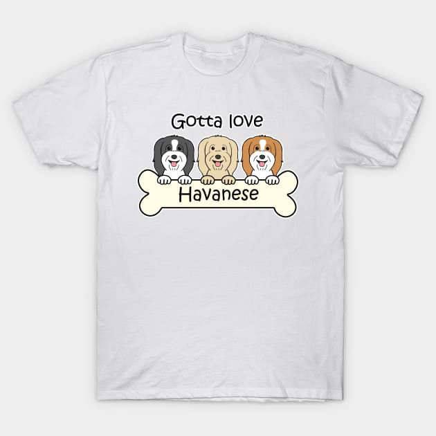 Gotta Love Havanese T-Shirt by AnitaValle